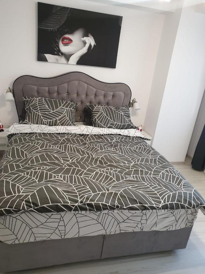 Topaz Central Apartment Bacău Exteriör bild